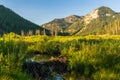 Beaver Dam in the Sawtooth National Recreation Area, Idaho Royalty Free Stock Photo