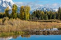 Beaver Dam at Schwabachers Landing Royalty Free Stock Photo