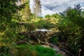Beaver dam at a small creek. Belarus, Naliboki forest Royalty Free Stock Photo