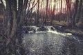 Beaver dam on a small forest river Royalty Free Stock Photo
