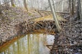 beaver dam in small stream Sweden february 27 2023 Royalty Free Stock Photo