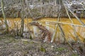 beaver dam in small stream Sweden february 27 2023 Royalty Free Stock Photo