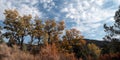 Autumn at Beaver Dam State Park in Nevada Royalty Free Stock Photo