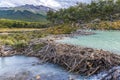 Beaver dam on a track to Laguna Esmeralda in Tierra del Fuego