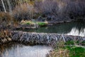 Beaver Damn Blocking Creek in Montana Royalty Free Stock Photo