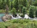 Beaver Damn habitat Royalty Free Stock Photo