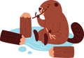 Beaver Eating Twig