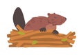 Beaver Gnawing Log, Brown Rodent Wild Mammal Animal Cartoon Vector Illustration Royalty Free Stock Photo