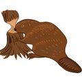 Beaver