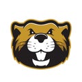 Beaver head mascot