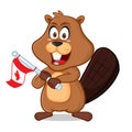 Beaver holding canada flag Royalty Free Stock Photo