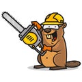 Beaver holds chainsaw