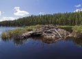 Beaver House Royalty Free Stock Photo