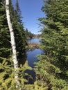 Beaver house at the Gatineau park