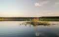 Beaver house on the lake in sunny evening