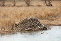 Beaver House - Ontario - Canada Royalty Free Stock Photo