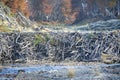 Beaver house, tierra del fuego, argentina Royalty Free Stock Photo