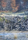 Beaver house, tierra del fuego, argentina Royalty Free Stock Photo