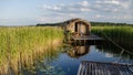 Beaver house in Usma, Latvia