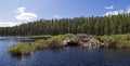 Beaver house Royalty Free Stock Photo