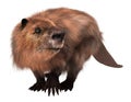 Beaver isolated on white background 3d illustration