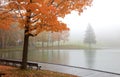 Beaver lake in Mont Royal near Montreal city