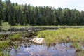 Beaver Lakes, Algonquin Provincial Park 3