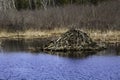 Beaver Lodge