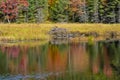 Beaver Lodge in a Beautiful Fall Setting #2