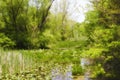 Beaver Marsh Cuyahoga Valley National Park, Peninsula, Ohio, USA