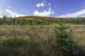 Beaver Meadow in Autumn - Ontario, Canada Royalty Free Stock Photo