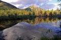 Beaver Pond Royalty Free Stock Photo