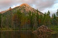 Beaver Pond Royalty Free Stock Photo