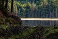 Evening light on beaver pond Royalty Free Stock Photo