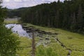 Beaver pond in Algonquin Provincial Park, Ontario Royalty Free Stock Photo