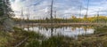 Beaver Pond in Autumn - Ontario, Canada Royalty Free Stock Photo