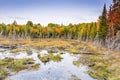 Beaver Pond in Autumn - Ontario, Canada Royalty Free Stock Photo