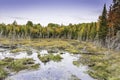 Beaver Pond in Autumn - Ontario, Canada Royalty Free Stock Photo