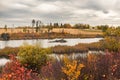 Beaver pond and beaver lodge in a pond surrounded by autumn leave color Royalty Free Stock Photo