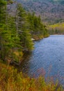 Beaver Pond Royalty Free Stock Photo