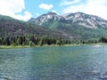 Beaver Pond