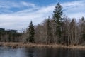 Beaver Pond Royalty Free Stock Photo