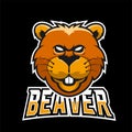 Beaver sport or esport gaming mascot logo template, for your team Royalty Free Stock Photo