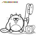 Cartoon beaver holding a toothbrush and dental floss. Vector black and white coloring page.