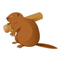 Beaver Royalty Free Stock Photo