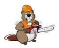 Beaver wearing a helmet and holding a chain saw Royalty Free Stock Photo
