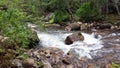 Beaverdam Creek Royalty Free Stock Photo