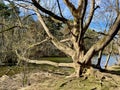 Beaverdam Lake and Bird Sanctuary