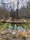 Beaverdam Lake and Bird Sanctuary