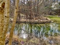 Beaverdam Lake and Bird Sanctuary